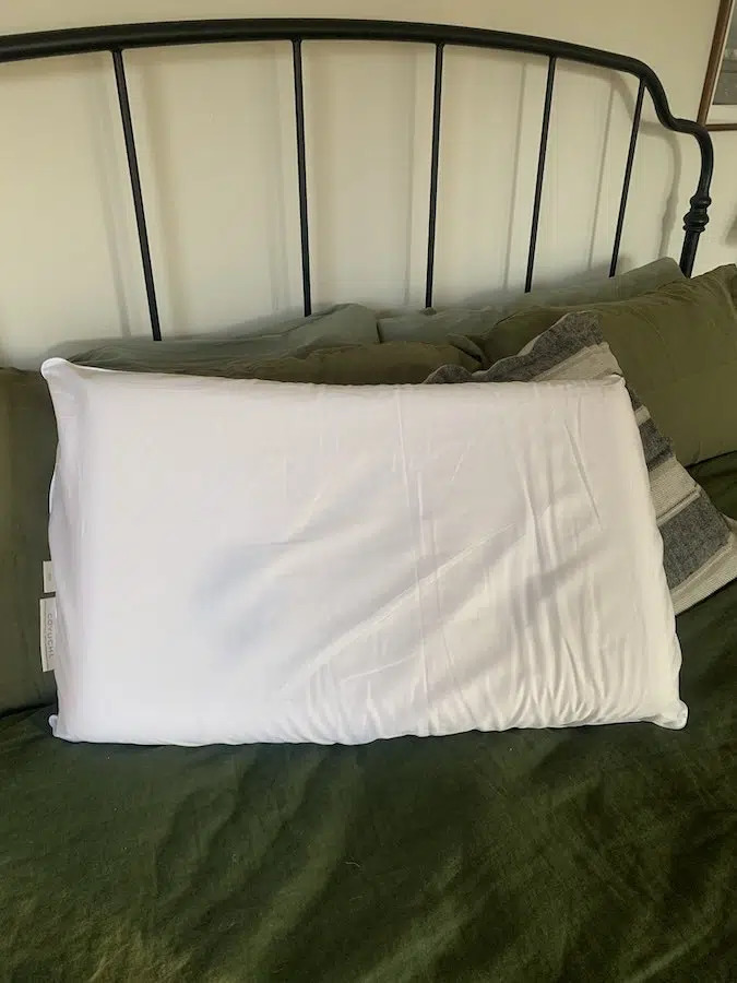 organic pillows